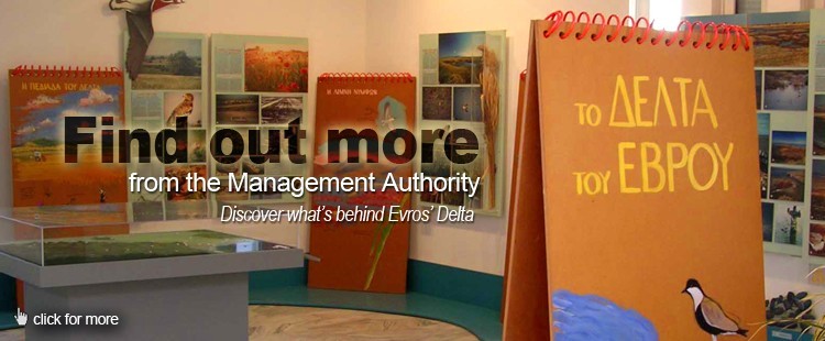 Management authority: Find out what' s behind Evros Delta.