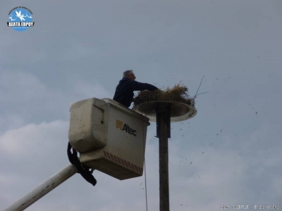 Καλωσόρισμα των Πελαργών με νέες φωλιές