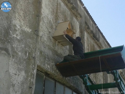 Πρόγραμμα προσέλκυσης αναπαραγωγής για Τυτώ