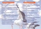 4ο Φεστιβάλ Πελαργών, Πόρος 2019 4ο Φεστιβάλ Πελαργών, Πόρος 2019