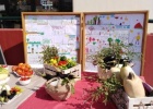 Harvest Festival of the School Gardens Project on the 2nd Primary School of Feres