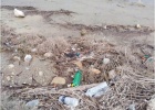 Project about pollution problems in wetlands Project about pollution problems in wetlands