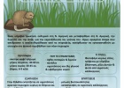 Ο Μυοκάστορας ένα ξενικό είδος στους υγροτόπους μας Ο Μυοκάστορας ένα ξενικό είδος στους υγροτόπους μας