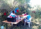 First week of ringing passerines in Evros Delta First week of ringing passerines in Evros Delta