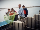 Δραστηριότητες με σχολεία (Αρχείο ΦΔ) / Activities with Schools (M.A. File)