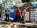 Δραστηριότητες με σχολεία (Αρχείο ΦΔ) / Activities with Schools (M.A. File)