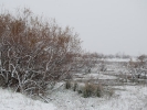 Χιονισμένο τοπίο / Snowy landscape (E.Makrigianni)