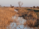 Το κανάλι της Σαρανταμέτρου / Sarantametros Canal (E. Stets)