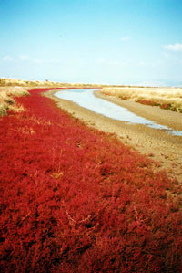 Evros_Almires
