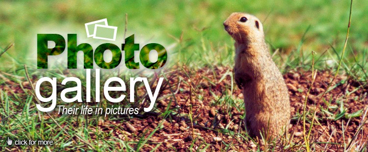 Photo gallery: Check out their lives through pictures!