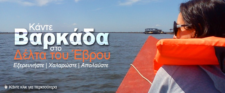 Βαρκάδα