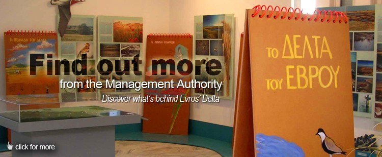 Management authority: Find out what' s behind Evros Delta.