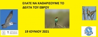 Καμπάνια παράκτιων καθαρισμών στο Εθνικό Πάρκο Δέλτα Έβρου στο πλαίσιο του έργου «Ανάπτυξη οικολογικής συνείδησης για να σταματήσει η ρύπανση στους πολύτιμους υγροτόπους της λεκάνης απορροής της Μαύρης Θάλασσας»