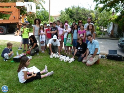 SATELLITE TRACKING OF WHITE STORKS FOR THE FIRST TIME IN GREECE