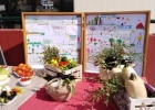 Harvest Festival of the School Gardens Project on the 2nd Primary School of Feres Harvest Festival of the School Gardens Project on the 2nd Primary School of Feres