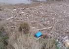 Marine litter in the Evros Delta Marine litter in the Evros Delta